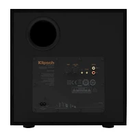 R-101SW 10 inch Subwoofer