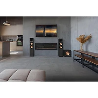 R-101SW 10 inch Subwoofer