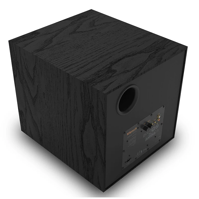 R-121SW 12 inch Subwoofer