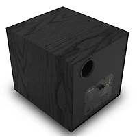 R-121SW 12 inch Subwoofer