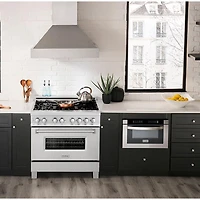 4.6 Cu. Ft. Snow Stainless Steel Freestanding Dual Fuel Convection Range