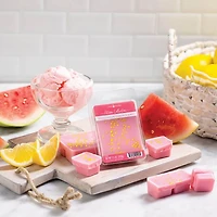 Watermelon Lemon Sorbet Artisan Wax Melts, 2.5 Oz, 6 Pack - OPEN BOX