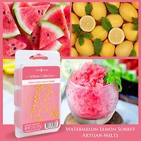 Watermelon Lemon Sorbet Artisan Wax Melts, 2.5 Oz, 6 Pack - OPEN BOX