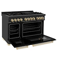 6.0 Cu. Ft. Autograph Edition Black Stainless Steel/Gold Accents Free Standing Dual Fuel Range