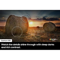 65 inch Q60C QLED HDR 4K Tizen Smart TV - OPEN BOX