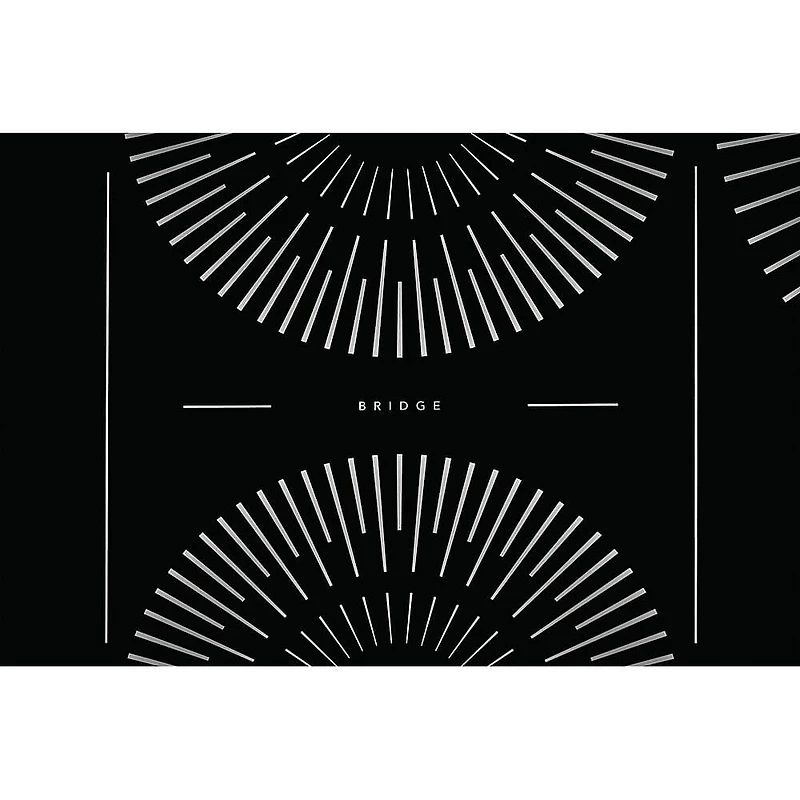 30 inch Black 4 Burner Induction Electric Cooktop