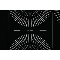 30 inch Black 4 Burner Induction Electric Cooktop