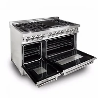 6.0 Cu. Ft. Professional Stainless Freestanding Dual Fuel Double Range