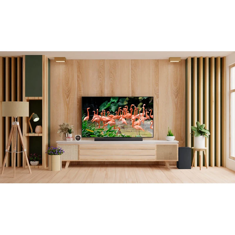 inch Class C3 4K OLED Smart TV