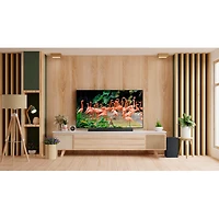 inch Class C3 4K OLED Smart TV