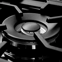 6.0 Cu. Ft. Professional Stainless Steel Freestanding Dual Fuel Range