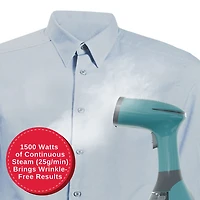 Handheld Steamer