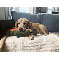 12 inch Plush Fish with Squeaker