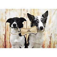 16 inch Natural Wool Bone Dog Tug Toy