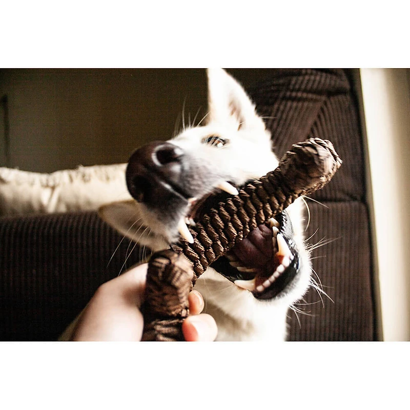 9 inch Braided Dog Toy - Brown