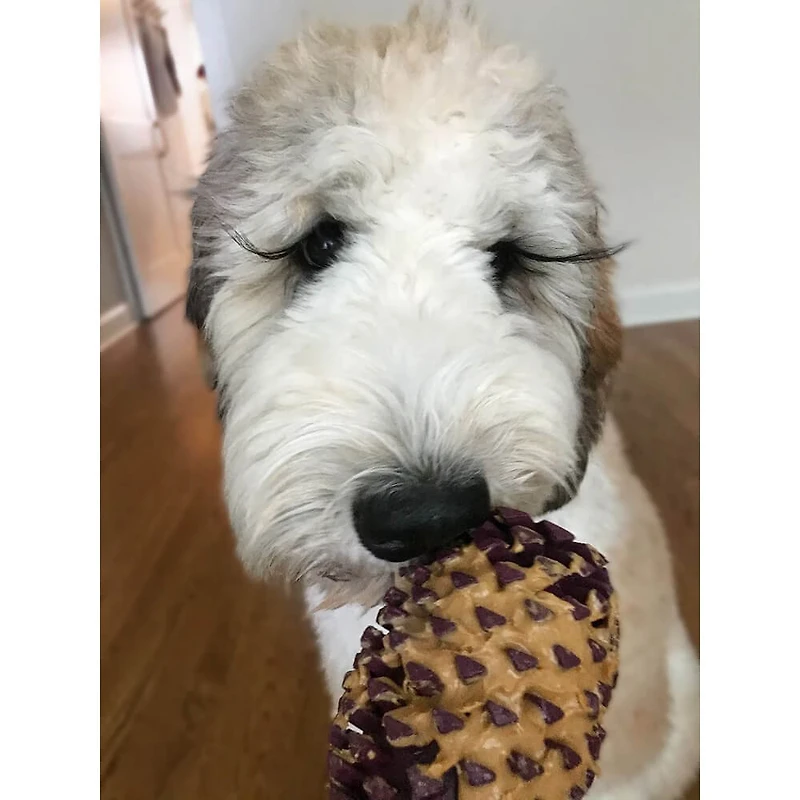 4 inch Rubber Pine Cone Dog Toy