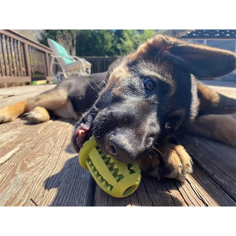 3 inch Natural Rubber Acorn Reward Dog Toy