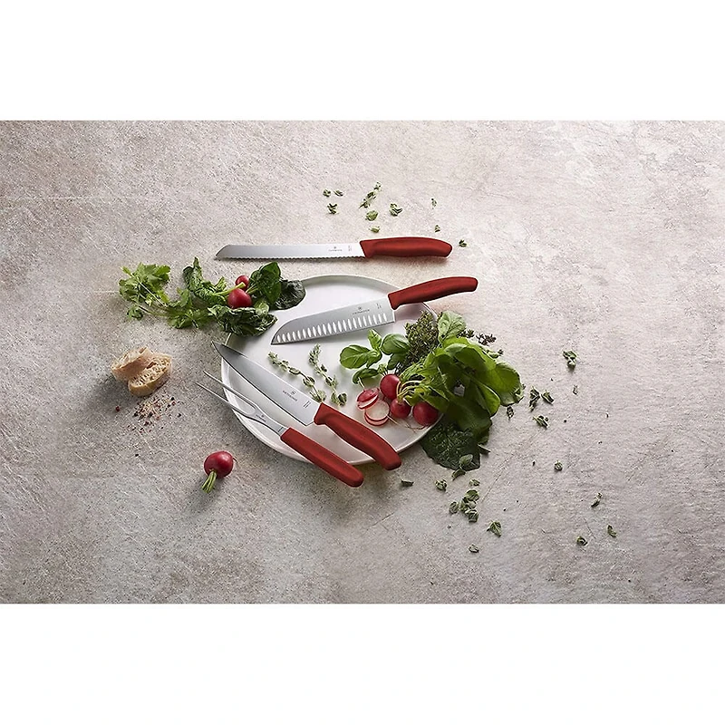 2-Piece Swiss Classic Carving Set - Red