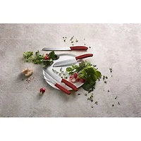 2-Piece Swiss Classic Carving Set - Red