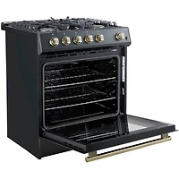 5.0 Cu. Ft. Leonardo Black Slide-In Gas Convection Range