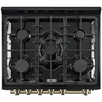 5.0 Cu. Ft. Leonardo Black Slide-In Gas Convection Range