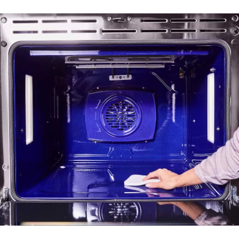 7.9 Cu. Ft. Stainless Steel Dual-Fuel Freestanding Pro Range