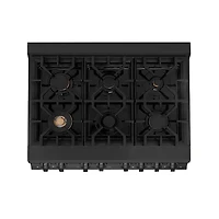 4.6 Cu. Ft. Black Stainless Steel Freestanding Dual Fuel Gas Range