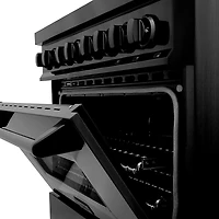 4.6 Cu. Ft. Black Stainless Steel Freestanding Dual Fuel Gas Range