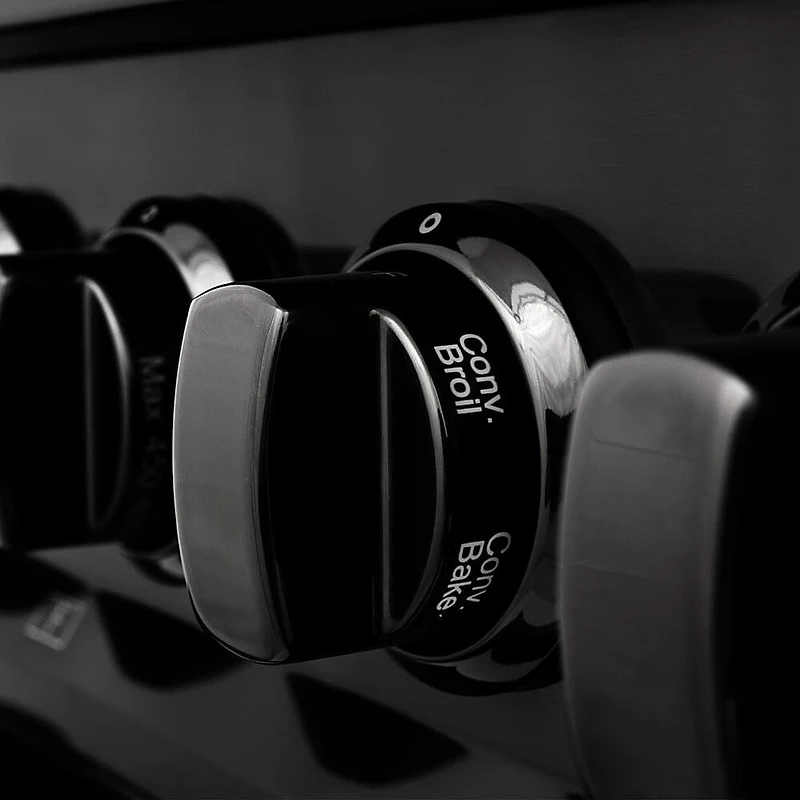 4.6 Cu. Ft. Black Stainless Steel Freestanding Dual Fuel Gas Range