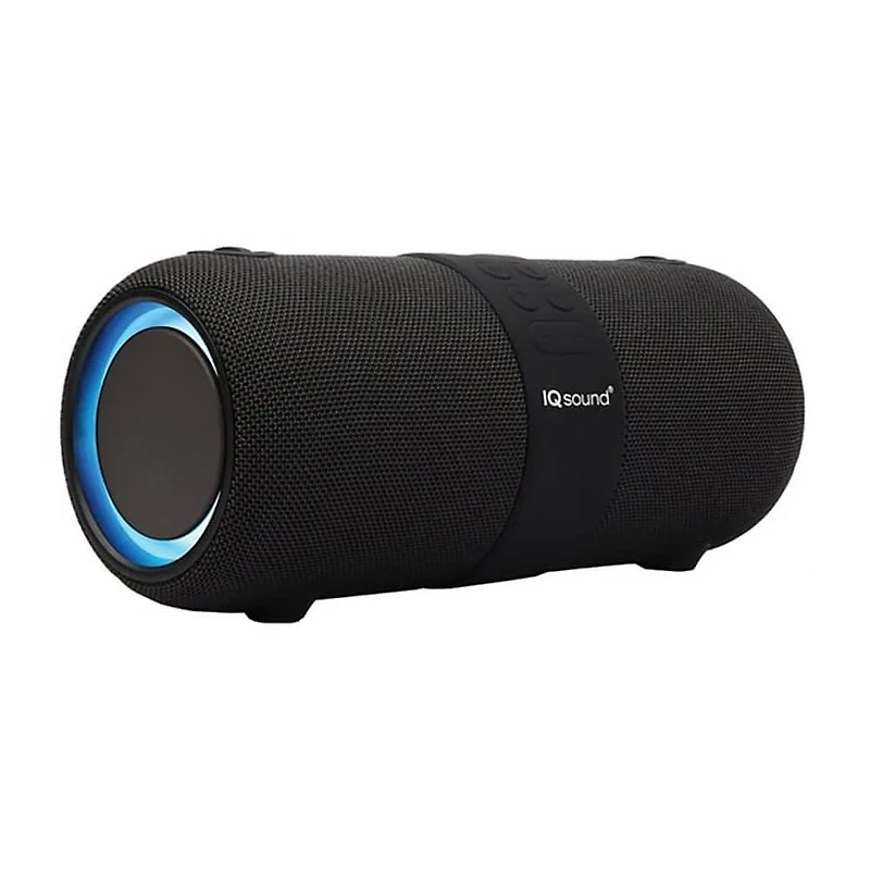 Portable Bluetooth Speaker with Voice Recognition