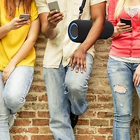 Portable Bluetooth Speaker with Voice Recognition