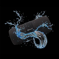 Portable Bluetooth Speaker with Voice Recognition