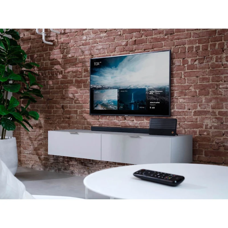 Ultimate Designer Amplified Antenna