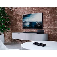 Ultimate Designer Amplified Antenna