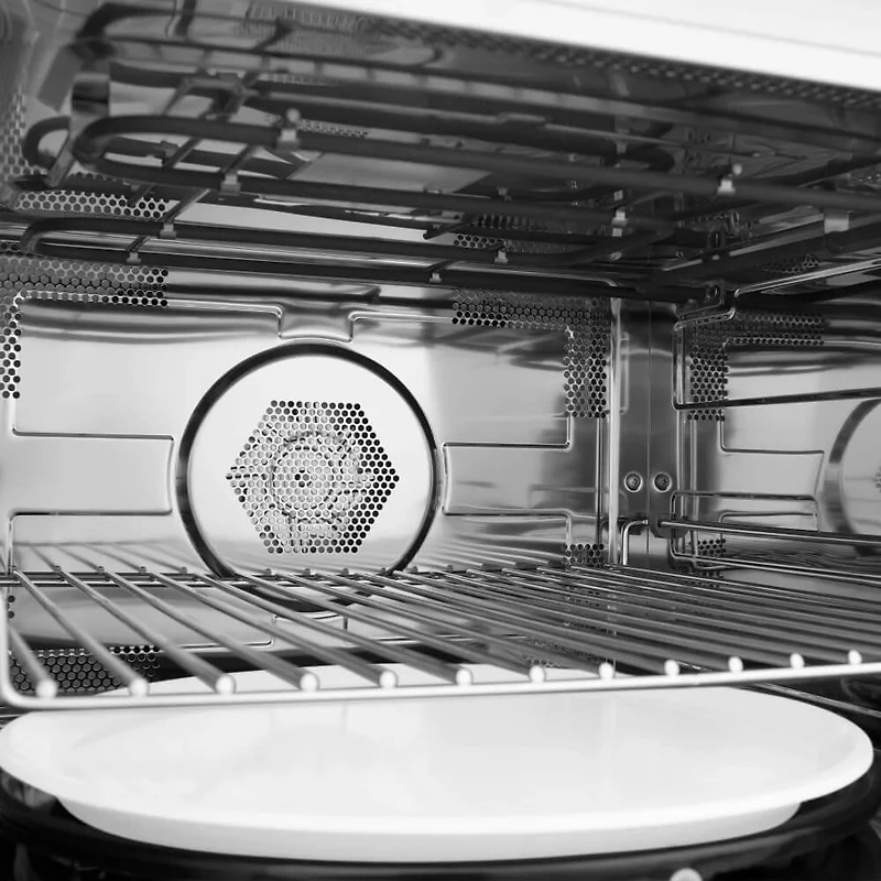 30 inch DuraSnow Stainless Steel with Gold Accents Built-In Microwave Oven