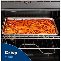 5.3 Cu. Ft. Black Freestanding Electric Range 