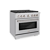 5.2 Cu. Ft. Stainless Steel Freestanding Gas Convection Range
