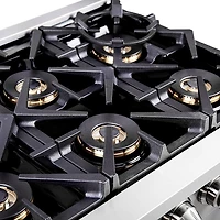 5.36 Cu. Ft. Stainless Steel Freestanding Gas Range with French Doors