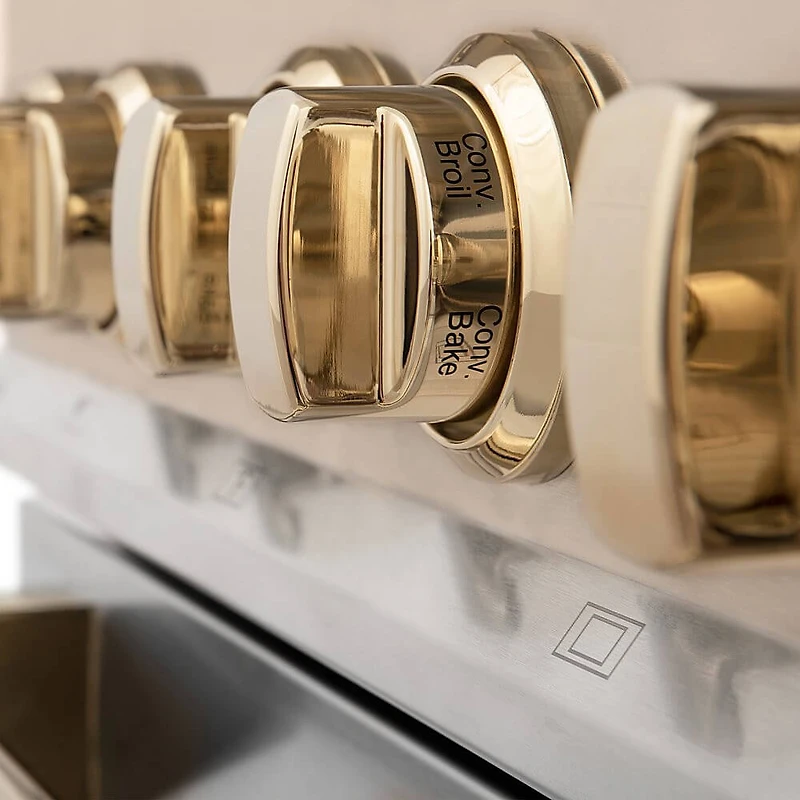 6 Cu. Ft. Stainless Steel with Gold Accents Freestanding Dual Fuel Range