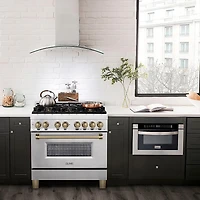 4.6 Cu. Ft. Stainless Steel with Champagne Bronze Accents Freestanding Dual Fuel Gas Range