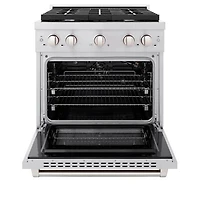 4.2 Cu. Ft. Stainless Steel Freestanding Gas Convection Range