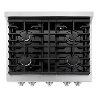 4.2 Cu. Ft. Stainless Steel Freestanding Gas Convection Range