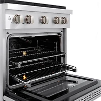 4.2 Cu. Ft. Stainless Steel Freestanding Gas Convection Range