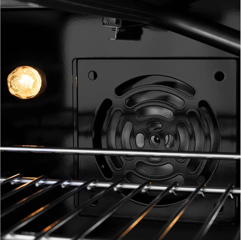 4.2 Cu. Ft. Stainless Steel Freestanding Gas Convection Range