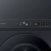 4.6/7.6 Cu. Ft. Brushed Black Bespoke AI Stacked Washer/Dryer