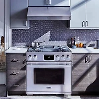 6.3 Cu. Ft. Stainless Steel Dual-Fuel Freestanding Pro Range