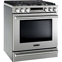 6.3 Cu. Ft. Stainless Freestanding Smart Gas Range