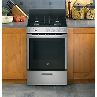 2.9 Cu. Ft. Stainless Steel Freestanding Gas Range