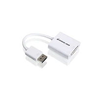 DisplayPort to DVI Adapter Cable 