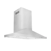 30 inch Stainless Canopy Range Hood